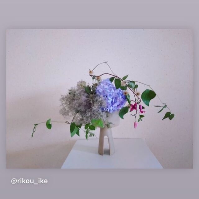 Instagram | 公益財団法人日本いけばな芸術協会